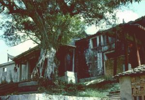 1992年的泰山庙。火燄山