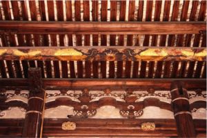 小飞刀摄于仓山