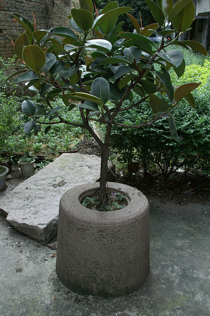 “藤峰可园”古井及碑（拍摄：nenva，2012年5月）
