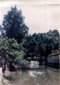 高陛桥全景 火燄山 1994