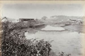 1880年的跑马场 布里斯托大学