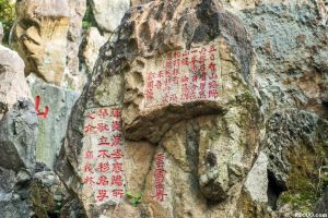 猴山部分假山石刻（暂不留名摄于2016年2月）