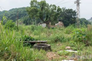 拆迁工地中的阵坂古井，远处为阵坂南山善应庙（暂不留名摄于2016年9月）