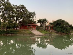 香积寺四周目前存活着9株挂牌一、二级的百年以上古榕 Min摄于2019.1.28 香积寺四周目前存活着9株挂牌一、二级的百年以上古榕 Min摄于2019.1.28
