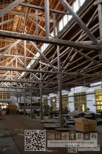 拍摄:lelesir 拍摄:lelesir