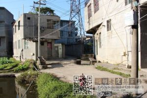横屿湖重僧题宋井远近遗照
（林陶江摄于20131129）