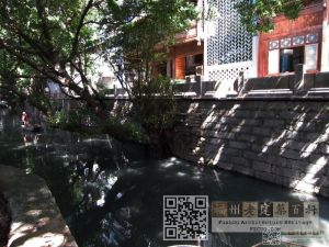 罗城大濠之安泰河影像
(林陶江摄于20150725）