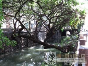 罗城大濠之安泰河影像
(林陶江摄于20150725）