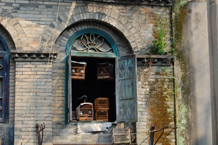 塔亭路棺木店窗户（拍摄：池志海/2011）