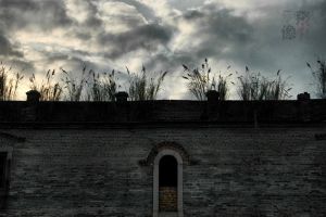 老宅外墙（拍摄：小飞刀于2012.1.31）