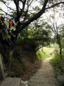 这里也是驿道的旧址，通往营前湖里村