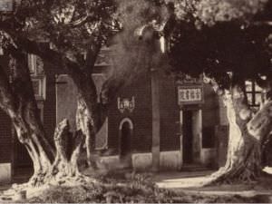 细节。来源：哈佛大学图书馆