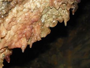 洞頂小鐘乳 火燄山 2014