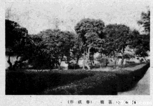 1938年拍摄的西禅寺内宋荔（来源：《旅行杂志》1938年第12卷第8期）
