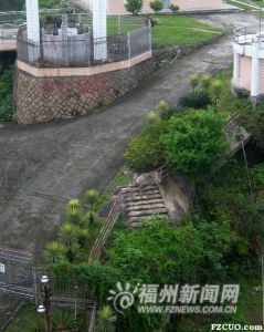 2008年拍摄的凌霄台残存巨石和台阶（来源：福州新闻网）