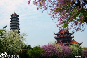 西禅寺（拍摄：池志海/2011）