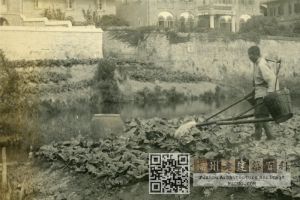 1930年代，日本人拍摄的仓山岭后挹秀山庄主楼（照片中部带门楼建筑）与附属楼（主楼左侧建筑）（来源：林轶南收藏）