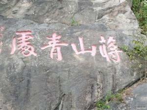 陈兆锵题“”蒋山青处”（eeemx摄于2021年11月）