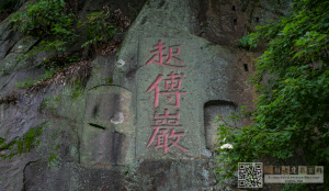 起傅岩 晋安梅客摄于2022年5月1日