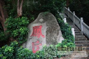 凤丘鹤林摩崖题刻
（林陶江摄于2024年）