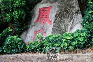 凤丘鹤林摩崖题刻
（林陶江摄于2024年）