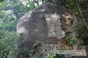 凤丘鹤林摩崖题刻
（林陶江摄于2024年）