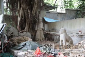 林陶江致敬外曾祖母入闽始祖（202411）