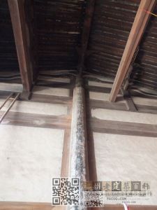 三英村蔗洲路83号